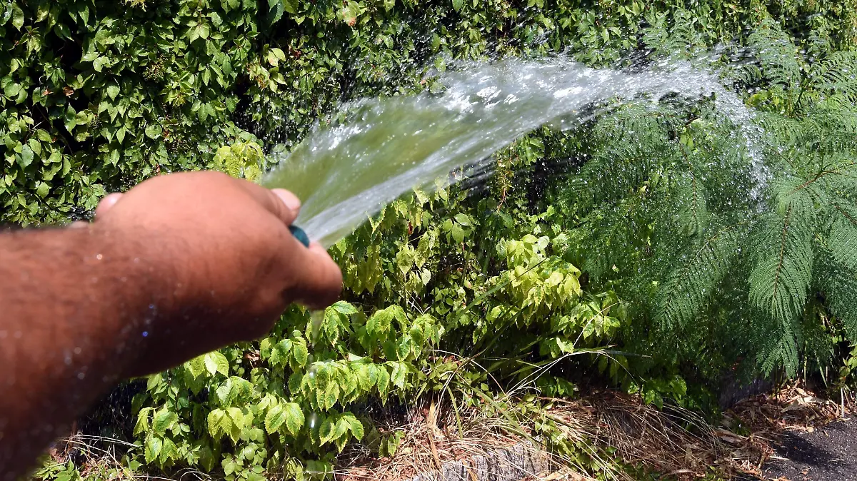 CONSUMO DE AGUA l JESUS GTZ -EL SOL DE IRAPUATO (1)