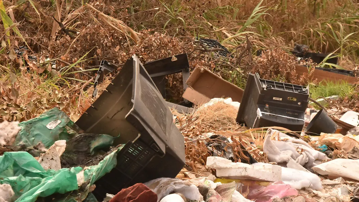 TIRADERO DE BASURA EN BALDIO (3)