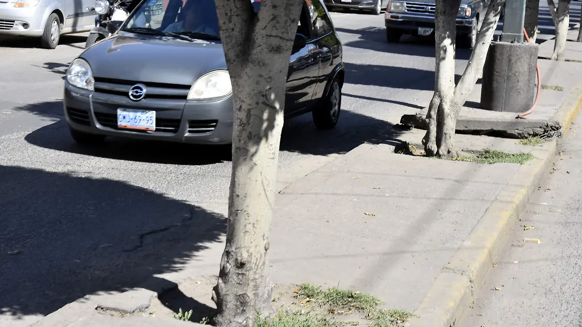 Blvd. Lazaro (1)