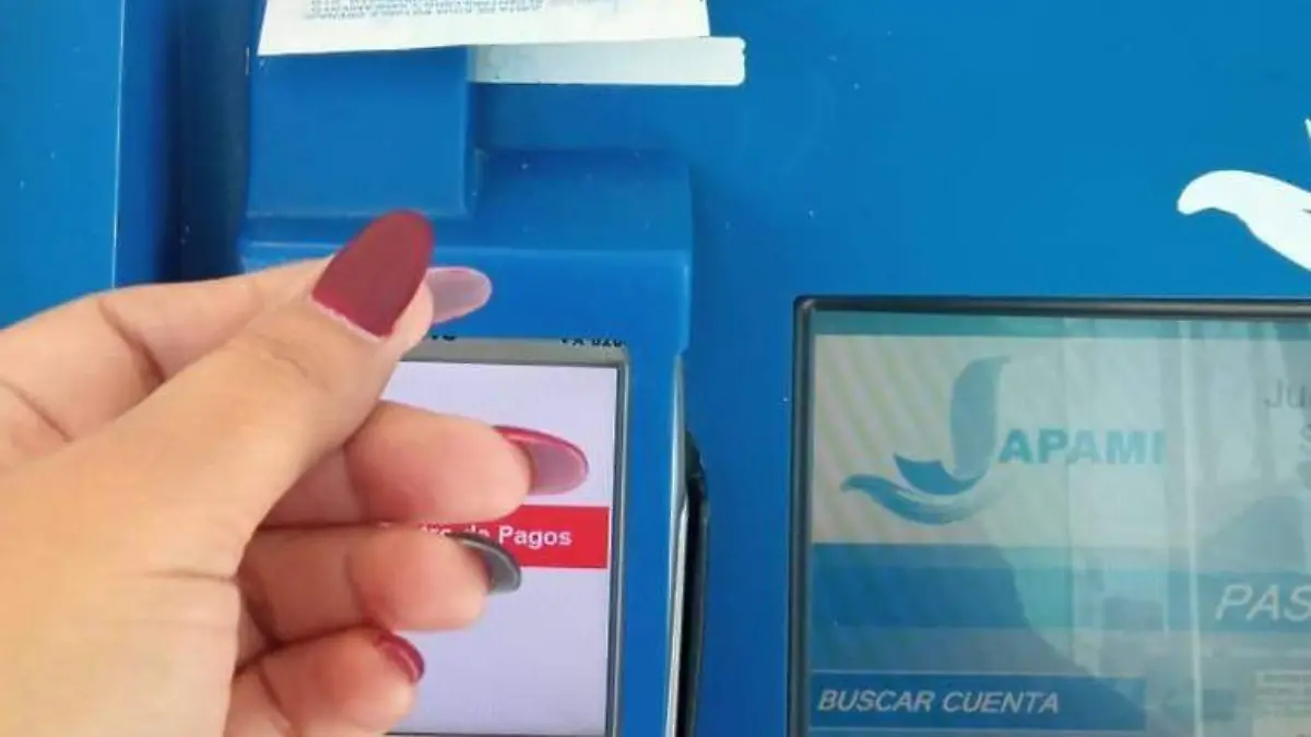 PAGO ANUAL JAPAMI (2)