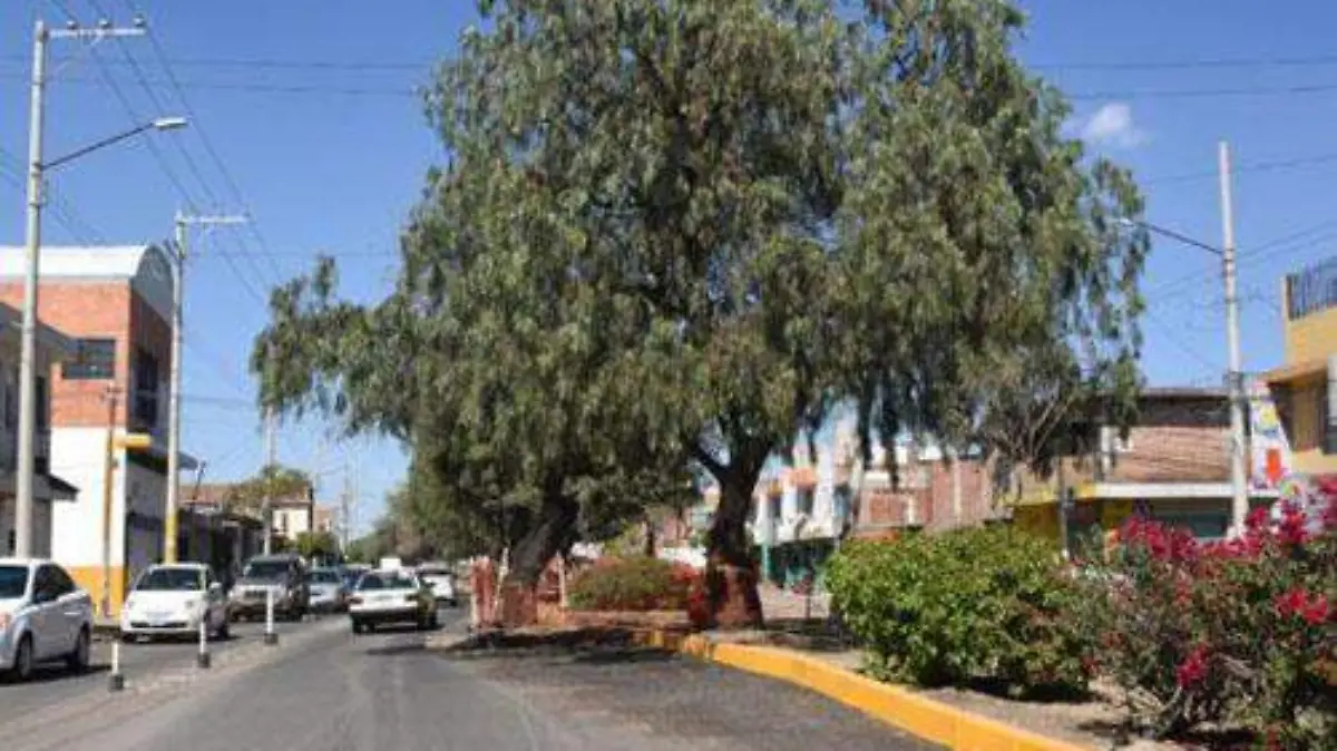 GÓMEZ MORÍN (1) OK