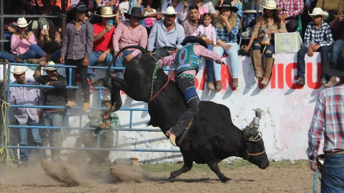 0a950b93-085f-4da9-b913-74a2bc524157