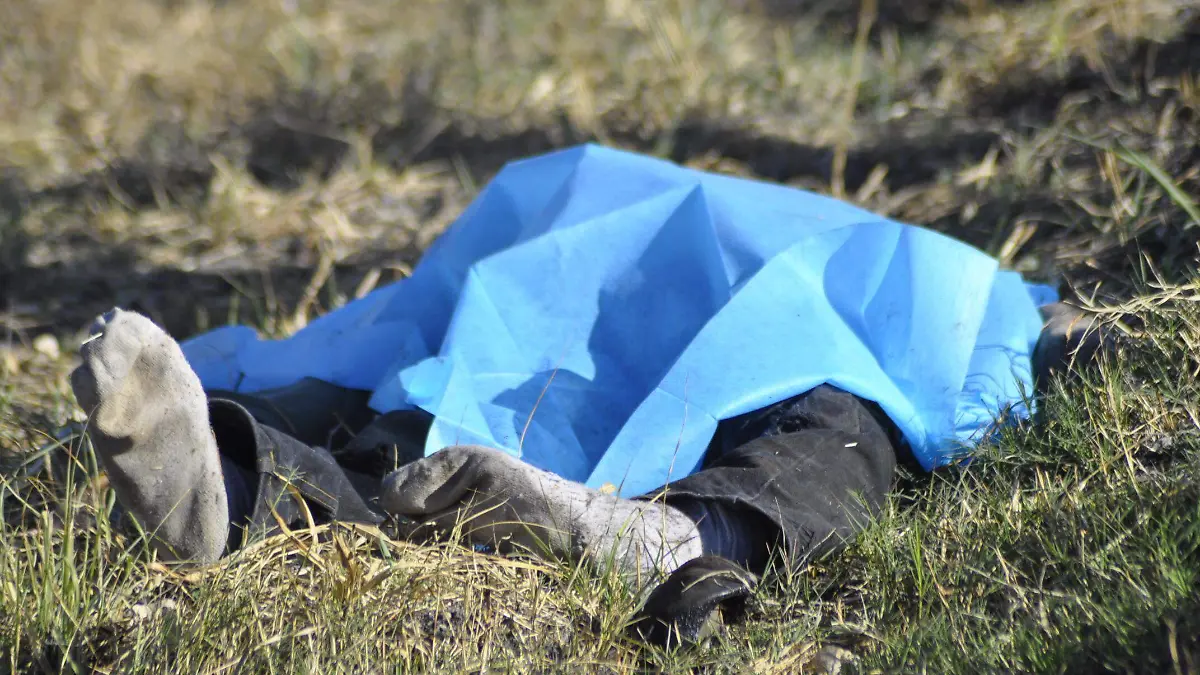 SEC. DE SALUD Y SUICIDIOS.