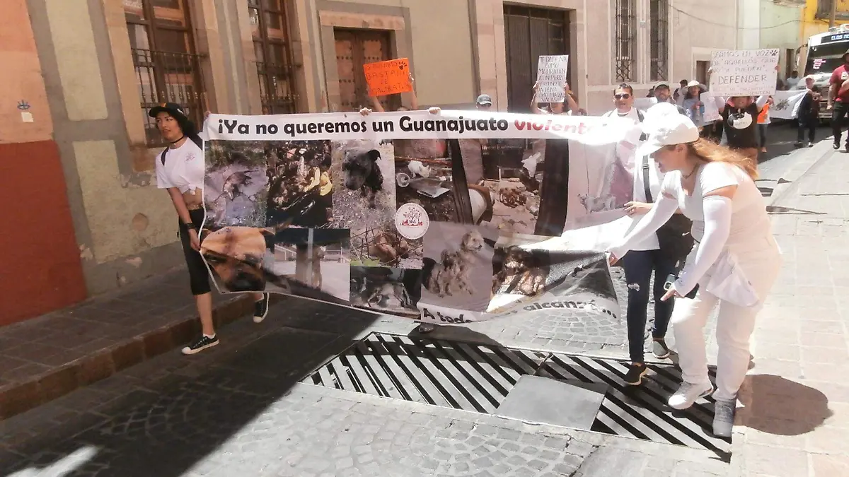 Guanajuato realizan marcha por los derechos de los animales-Foto Crescencio Torres (1)