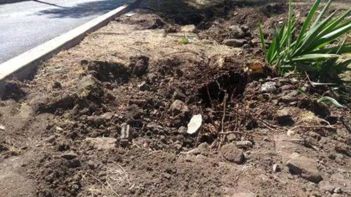 93555542-7900-423c-9135-86107cb4244e