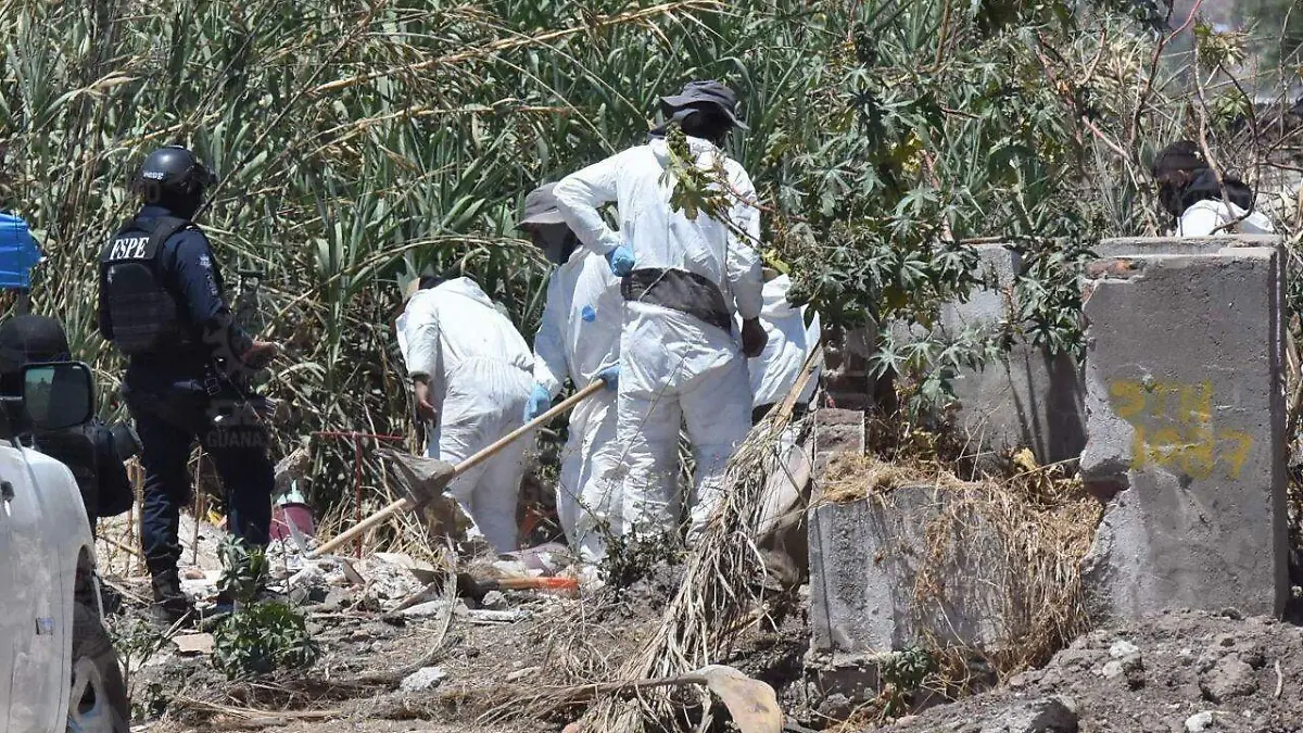 71ca9a67-c8a9-46f9-8d93-4d7a22022db3