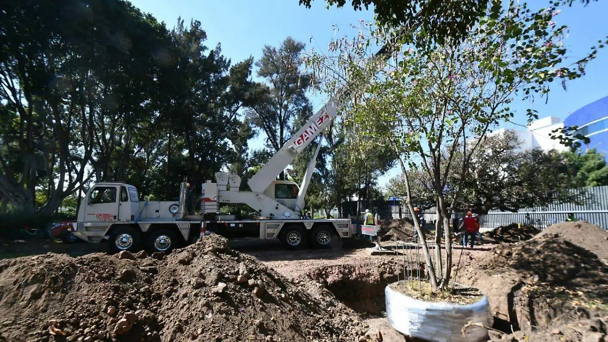 El-trasplante-de-los