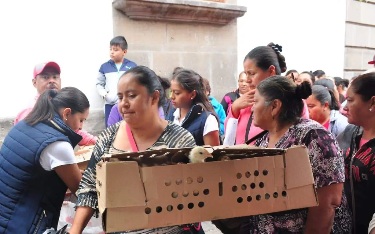 WhatsApp Image 2018-09-17 at 11.42.56 AM