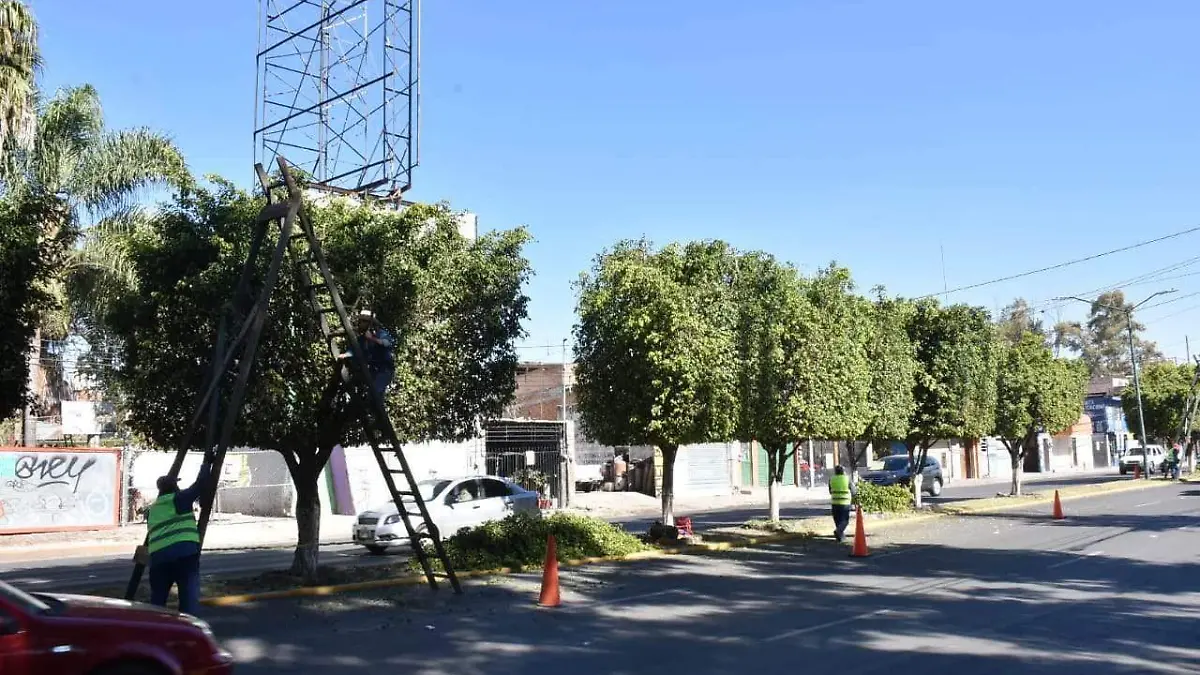 Servicios Públicos 2