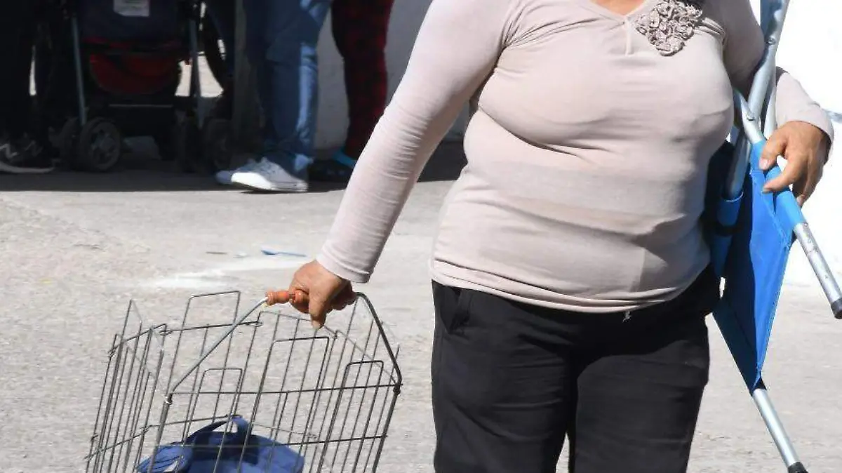 Entrega-de-Despensas-PIDA (2)