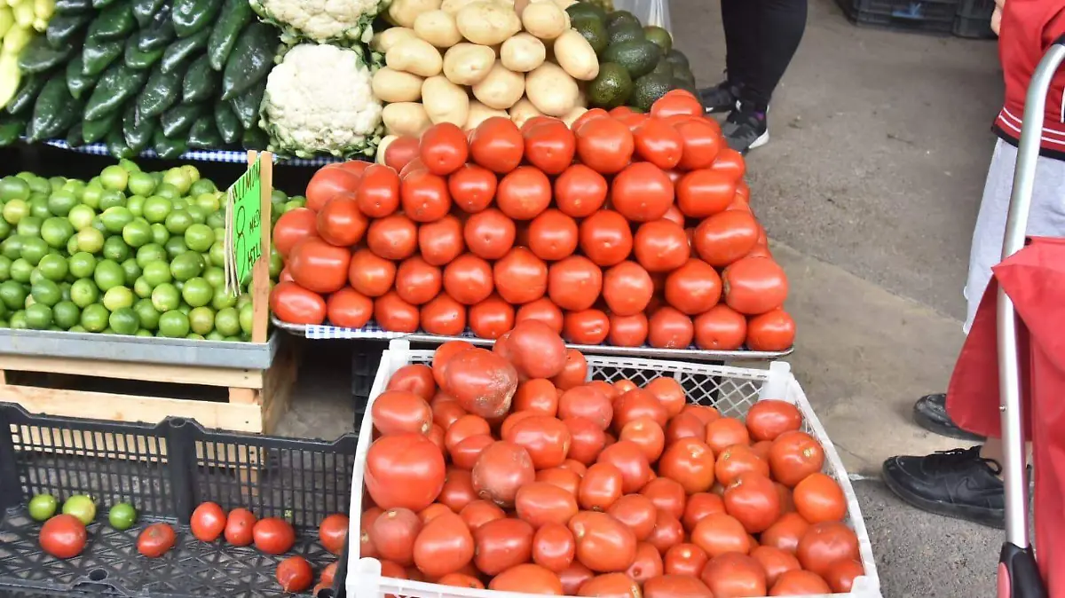 Canasta-Básica-(2)-