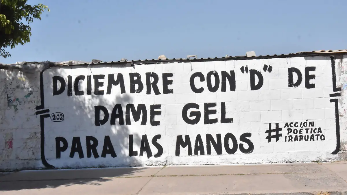 pinta de bardas 2 (6)