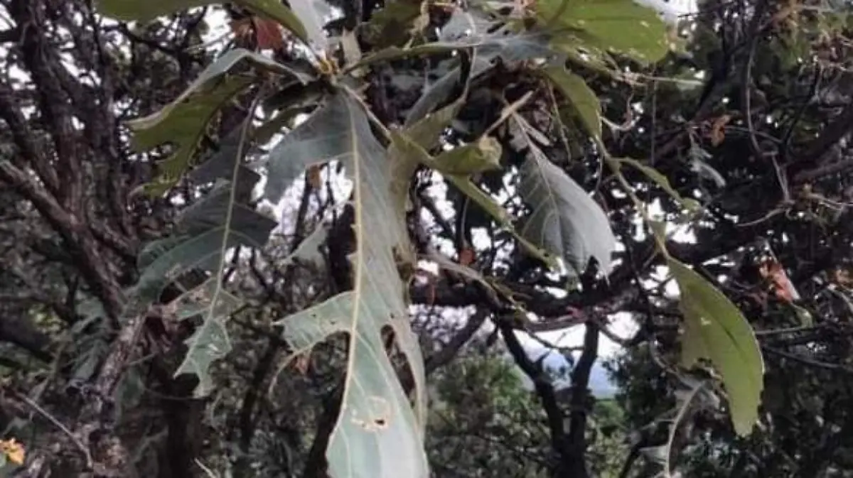 de7abebb-27fb-4ca4-bd6b-4e1ac2dc5586