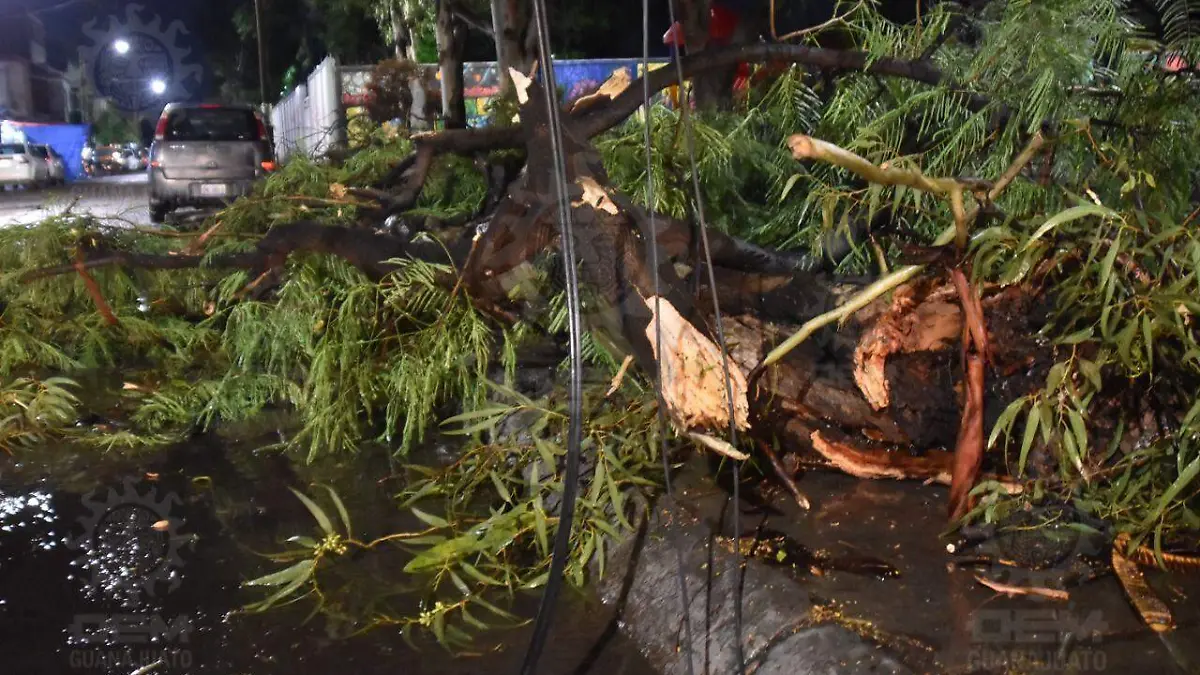 9a3cf002-e1e9-4578-b44f-f4cbd964e8c0