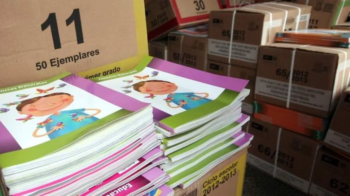 IRMA LETICIA LIBROS (4)