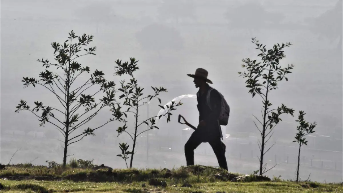 3ea21f85-f04f-4166-87a3-62f36360012c