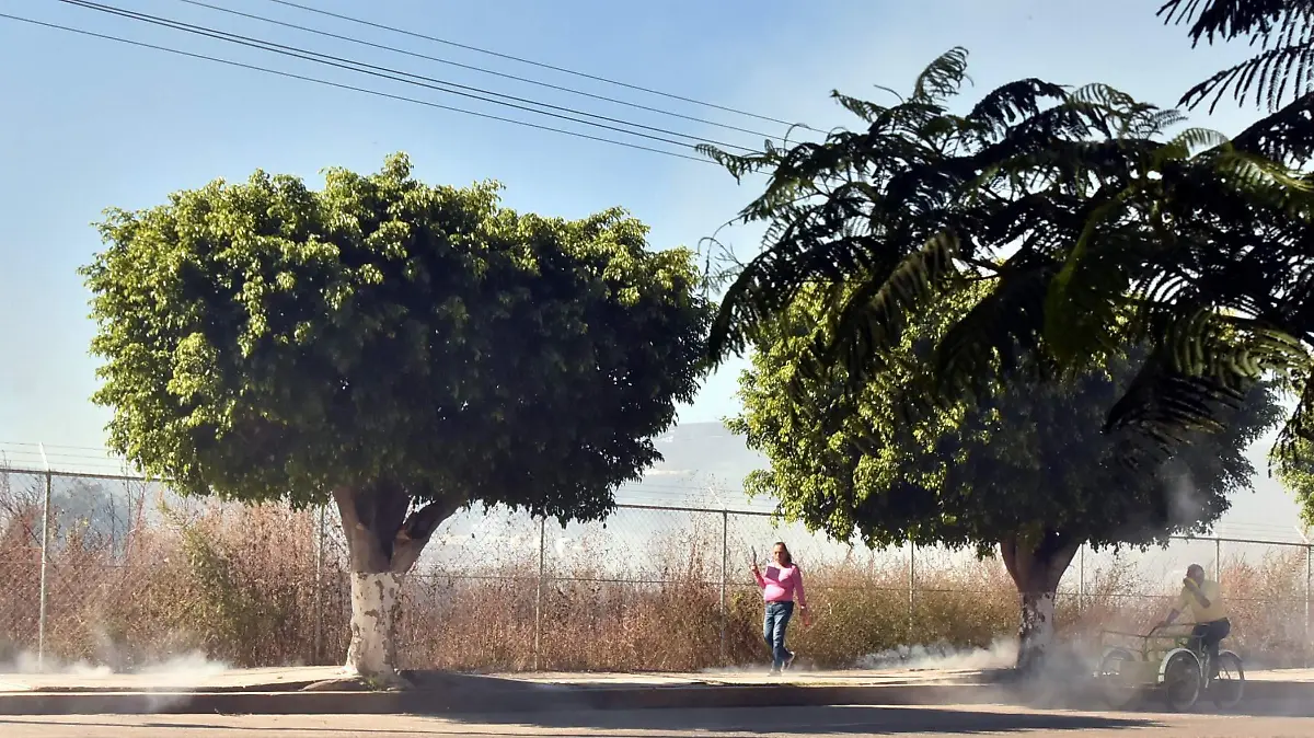 INCENDIOS PASTIZALES