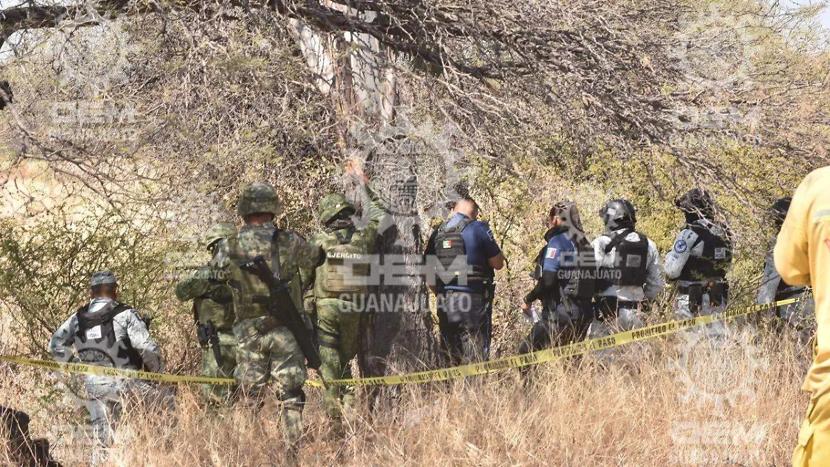 12aa25e0-3557-4c29-ab43-d8ec54fc779f