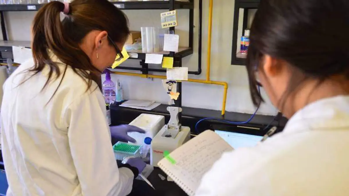 Piden asignar-más-recursos-a-Cinvestav  (2)