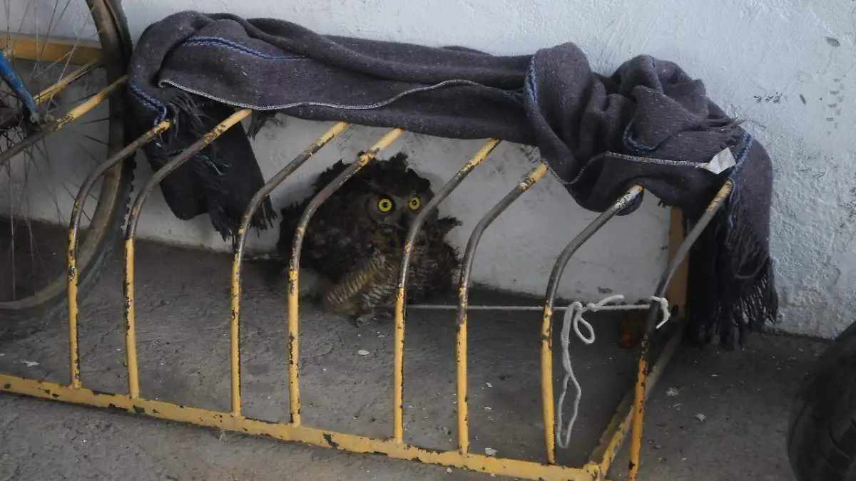 2f28adf3-cf95-4d95-9cb7-1595391d327e