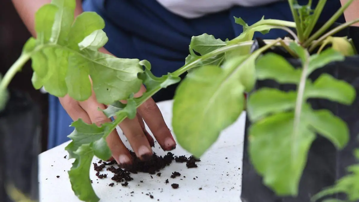 Realizaran-Tianguis-ecológico (3)