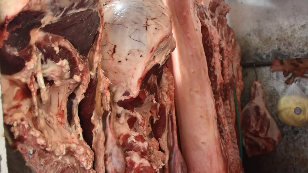 Buscaran-atraer-okokok 