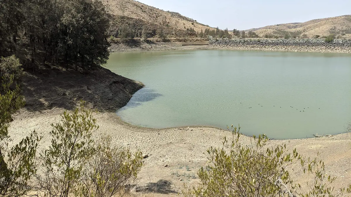 El-estado-invertirá