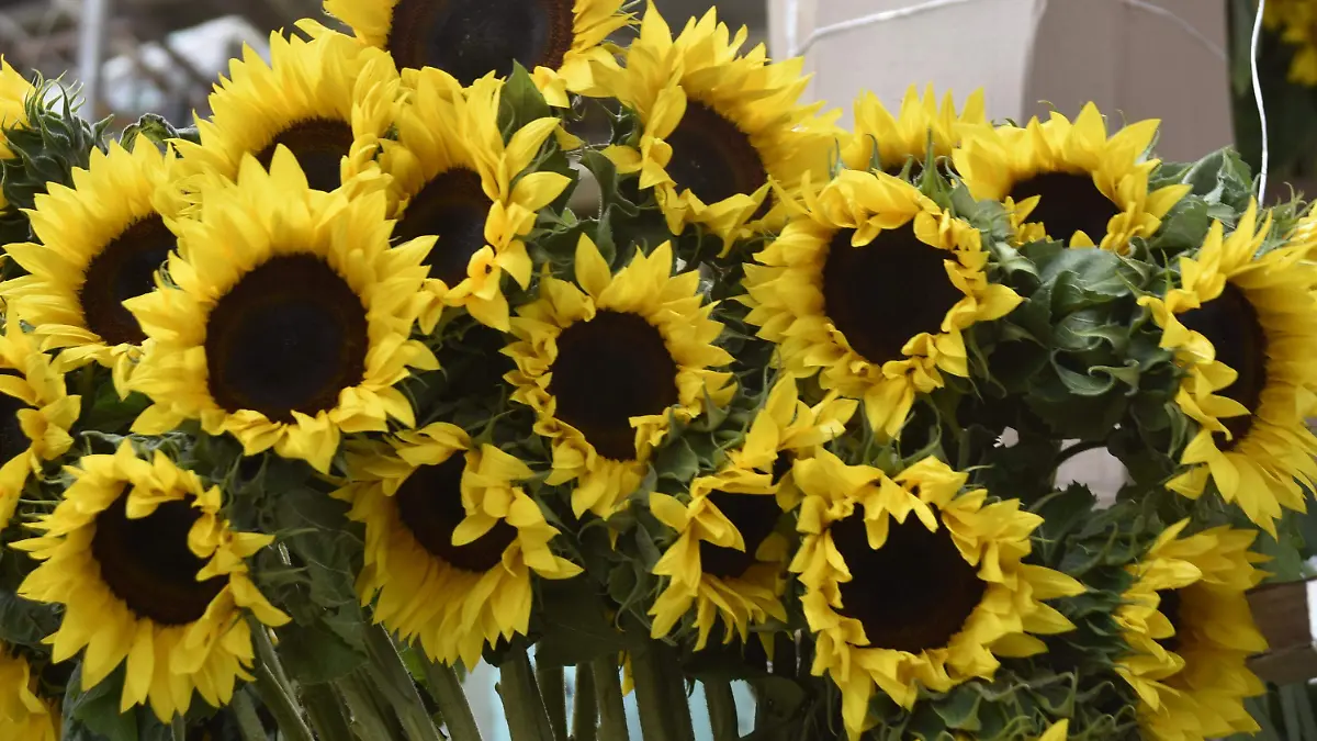 PARA ESTE 14 DE FEB.