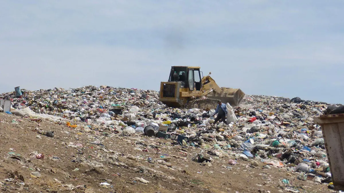 b2119ab3-f459-421c-ab5b-e24052844b44