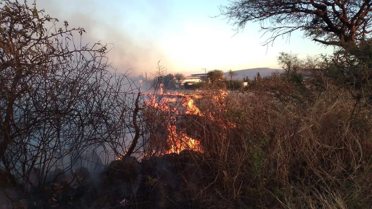 4eb21b7b-106d-4586-ae91-16717aac60d4