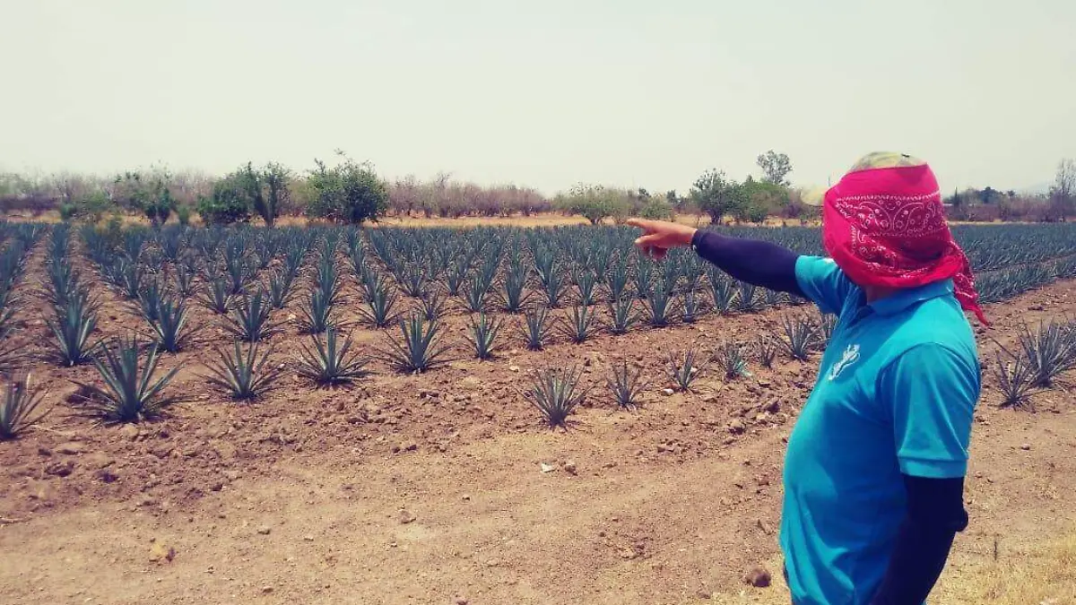 UNIVERSIDAD BIENESTAR (1)