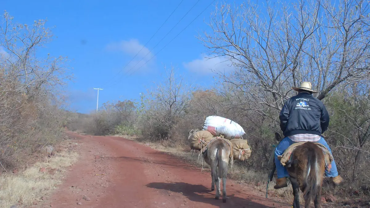 COMUNIDADES CARECEN DE SEÑAL