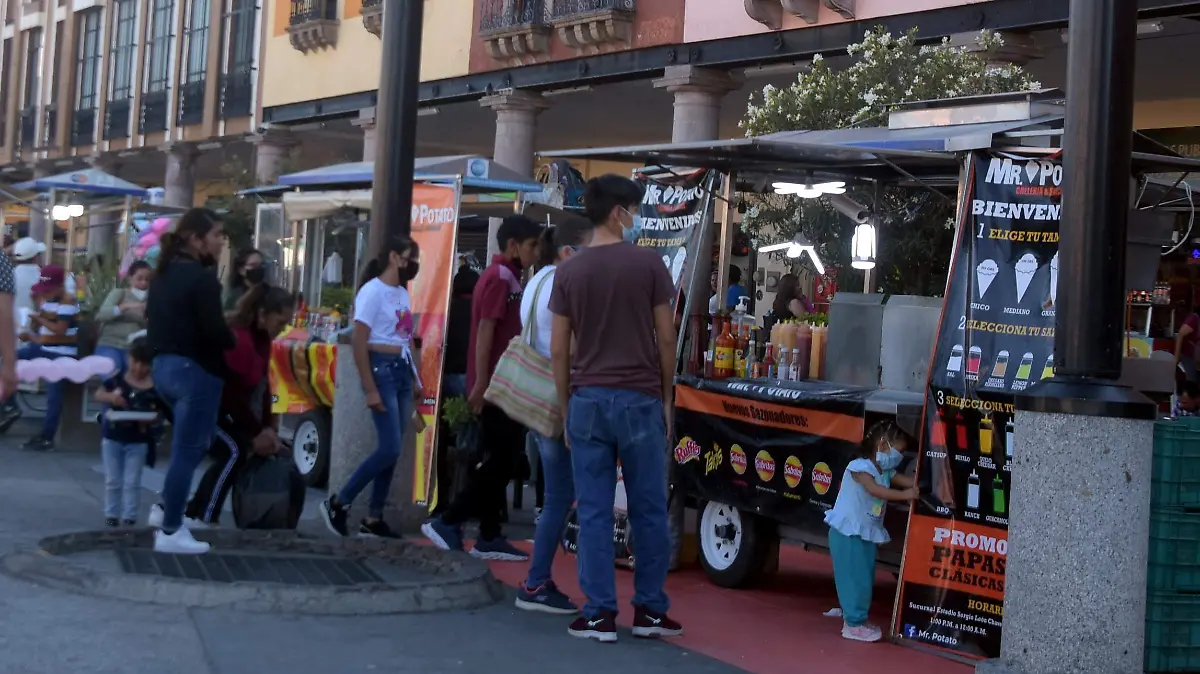 Tendrán-padrón-okokok