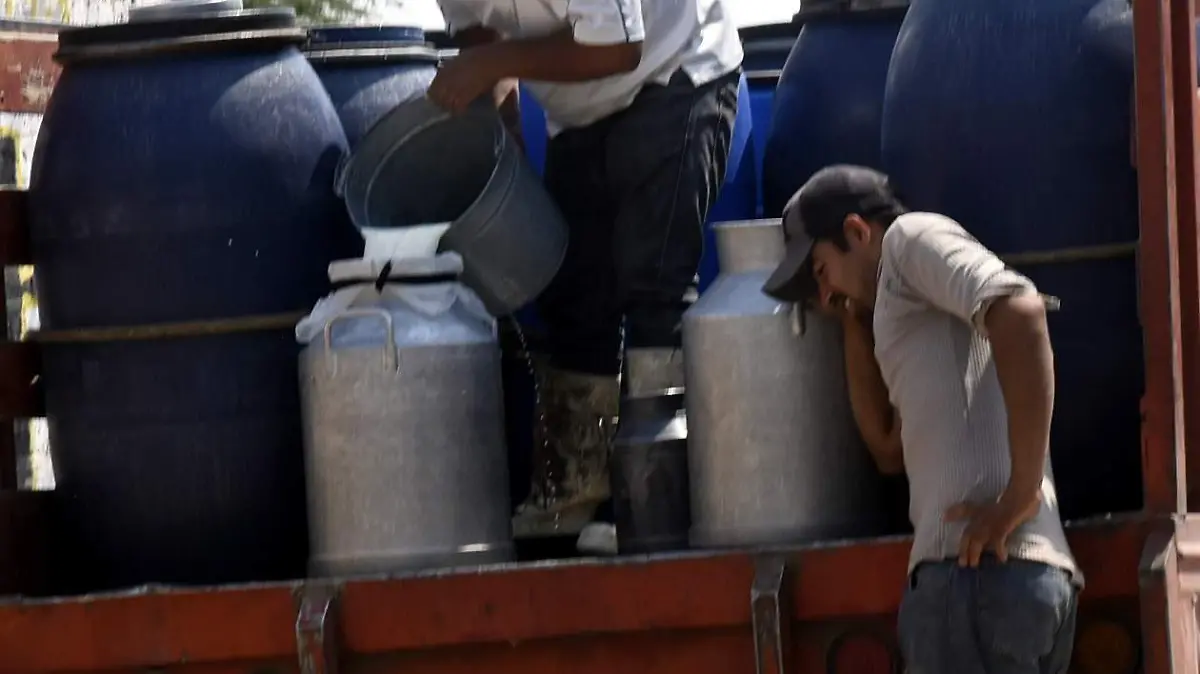 CANASTA-BASICA-(6)-JPG