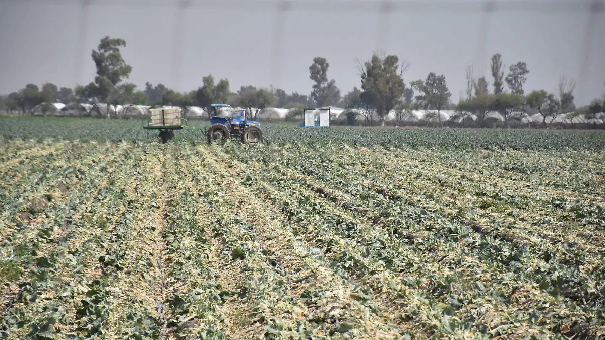 e3fdb0a5-ec0b-4b2e-b74e-cff00137ca7f