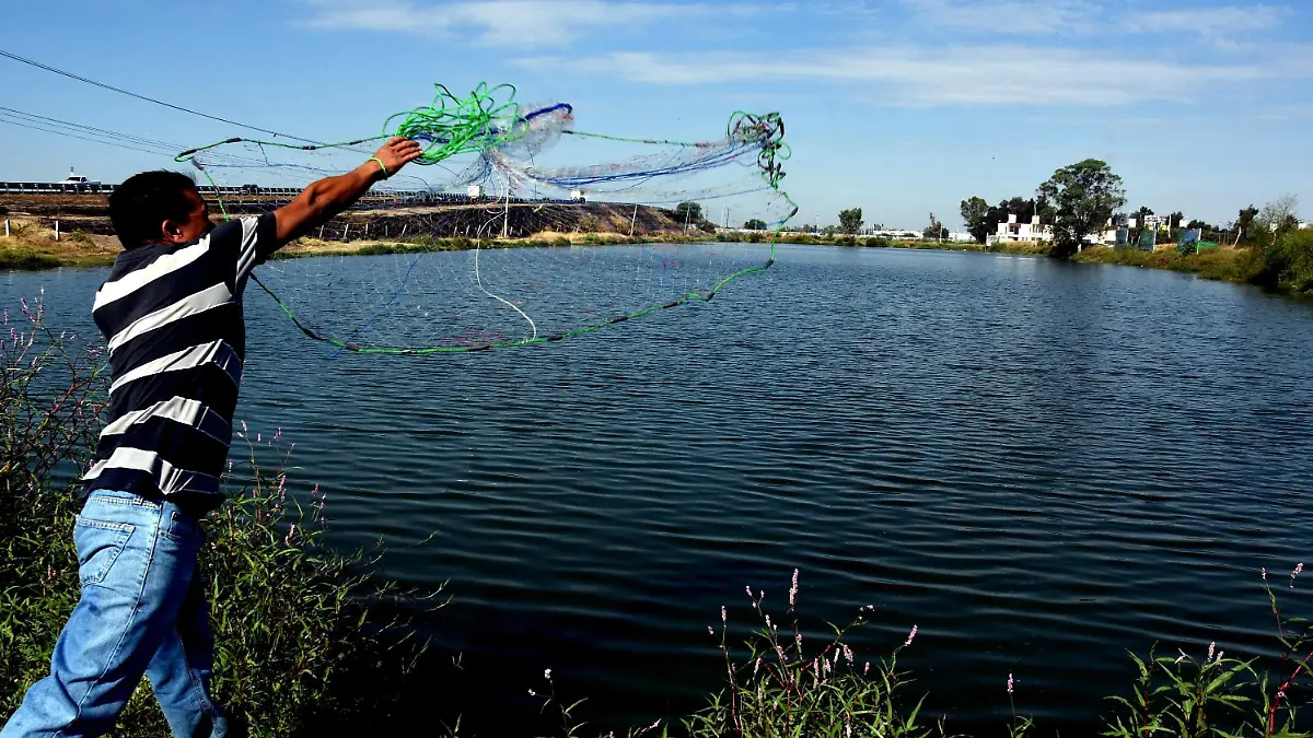 Tendrá-Irapuato-zona-de-protección  (1)