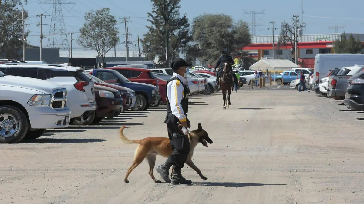Implementan-fuerte-dispositivo-de-seguridad (2)