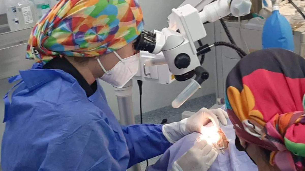 187ca437-d70f-4a15-8a98-8a410e60e8ae