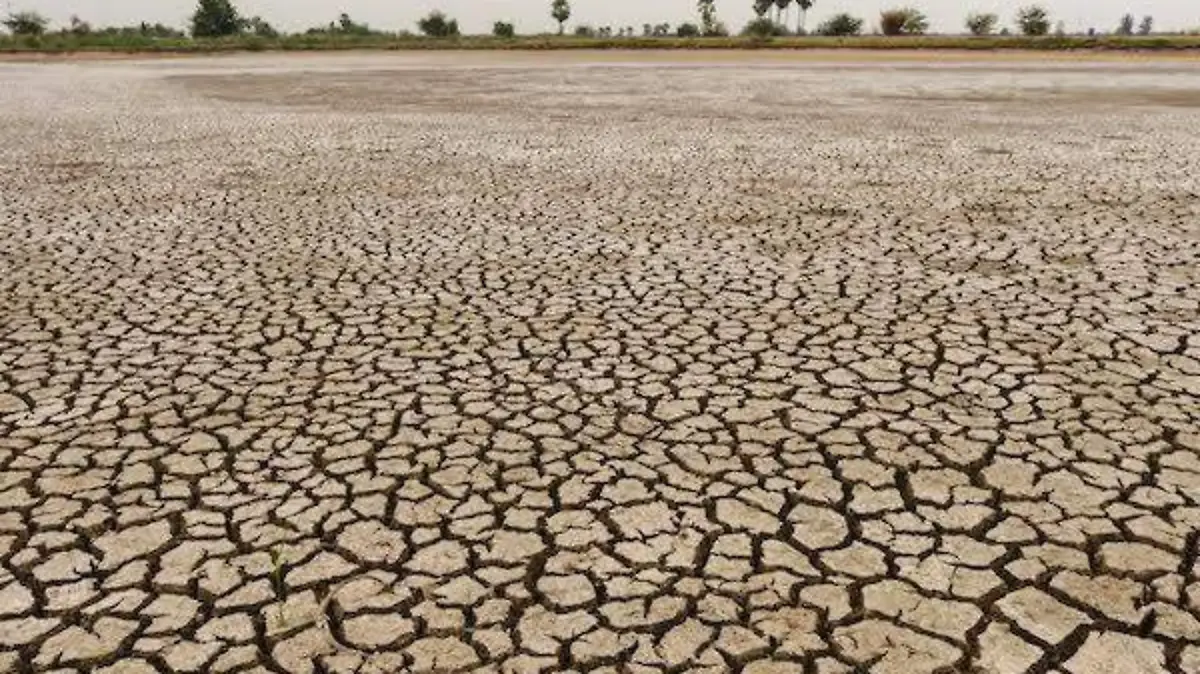 CONTAMINACIÓN GTO (1)