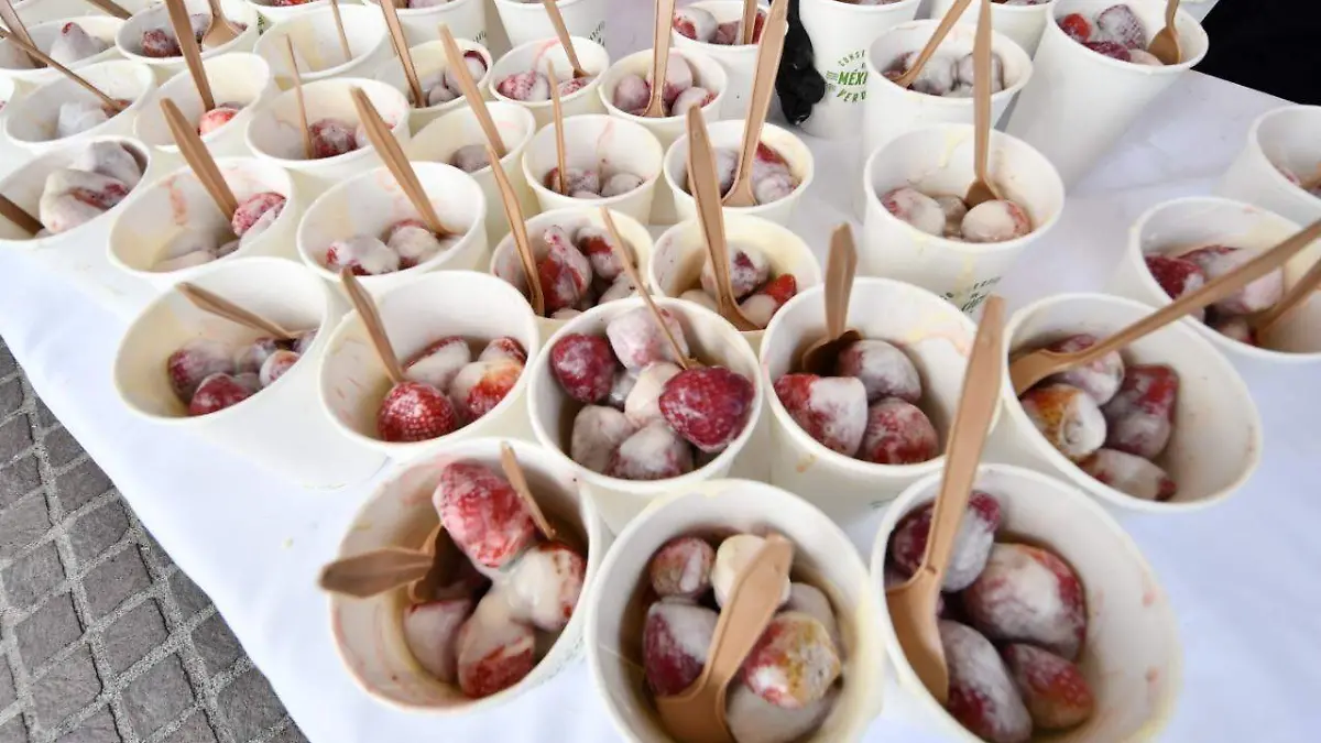 Regalarán-media-tonelada-de-fresas (1)
