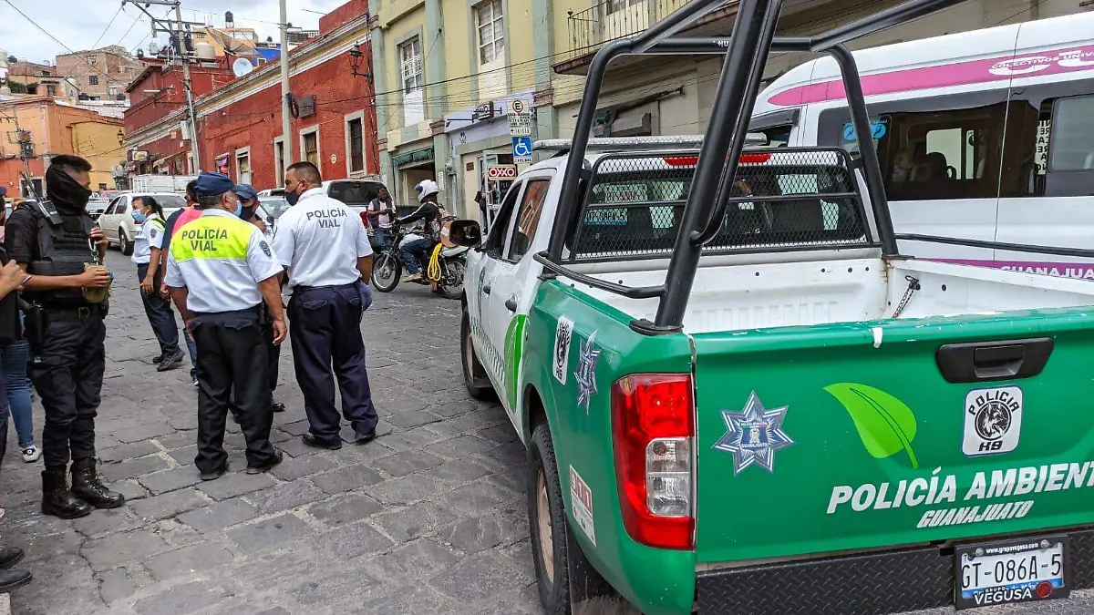 d68afef2-66dc-4a79-9f25-5b7096c32c7f (1)