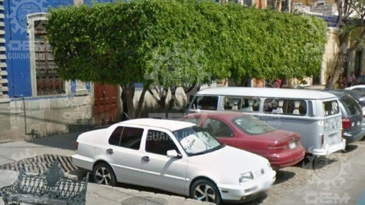 Talan-árboles-en-Paseo-de-la-Presa  (1)