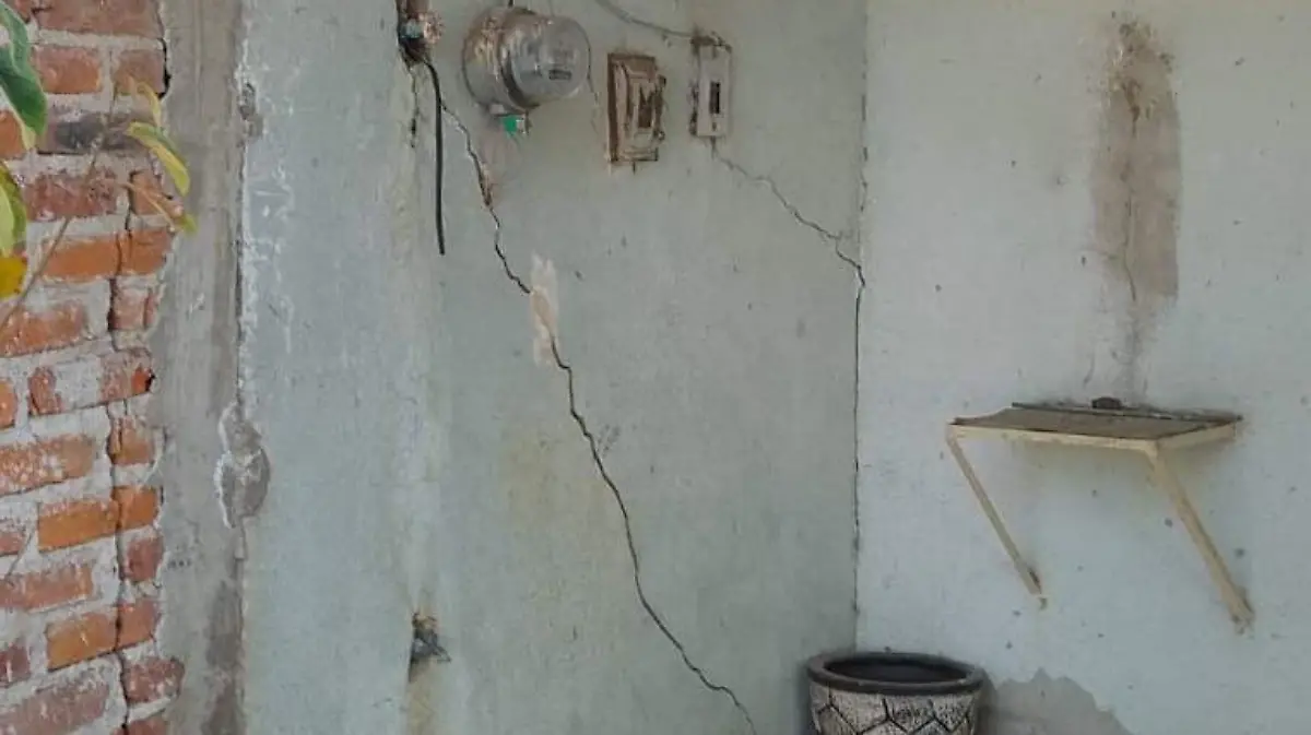 daad1a6d-bdd7-483c-880e-bebf854ce47d