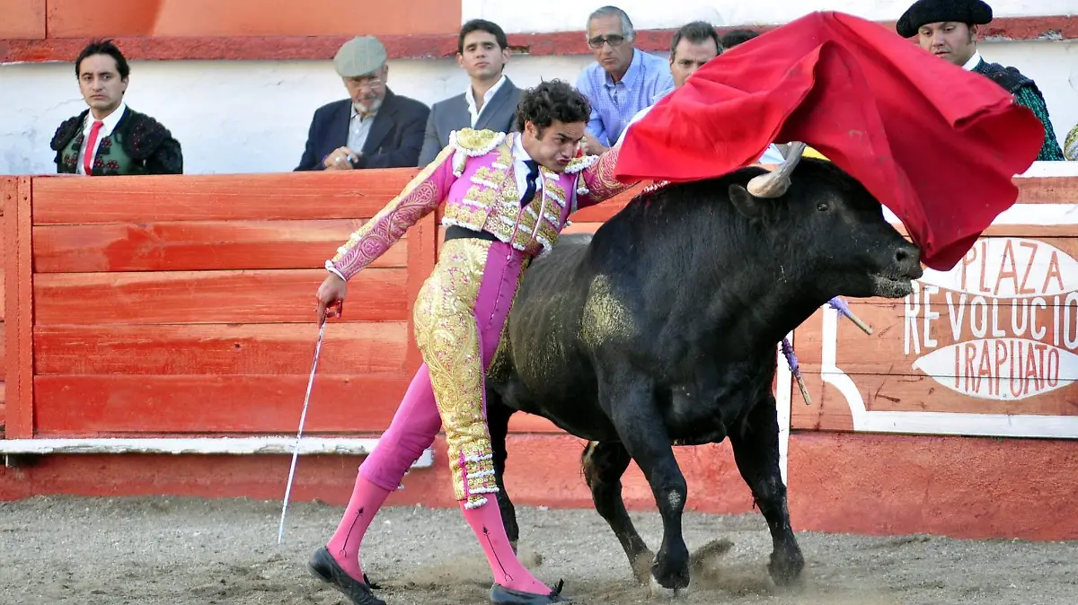 Toros-(6)-JPG