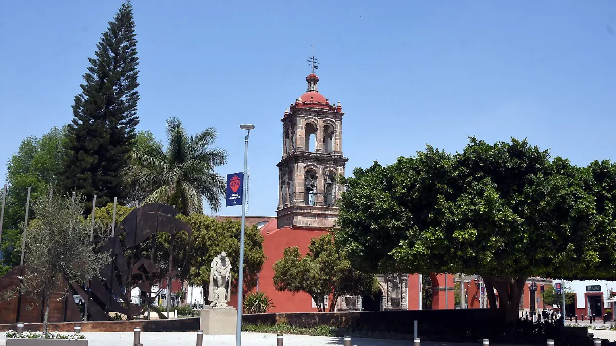 ARBOLES EN ZONA CENTRO (5)