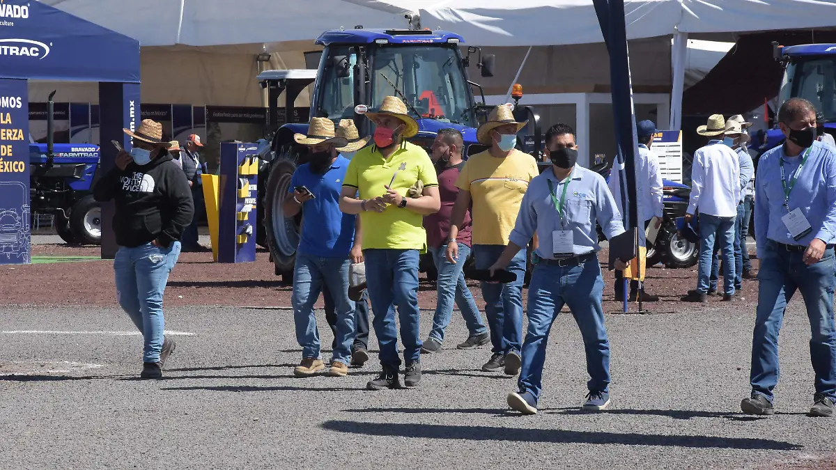 AGRO ALIMENTARIA (1)