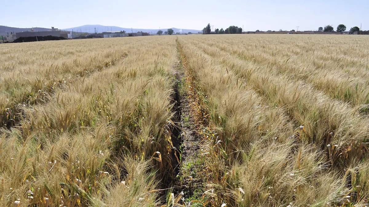 En-el-precio-de-la-luz-okokok