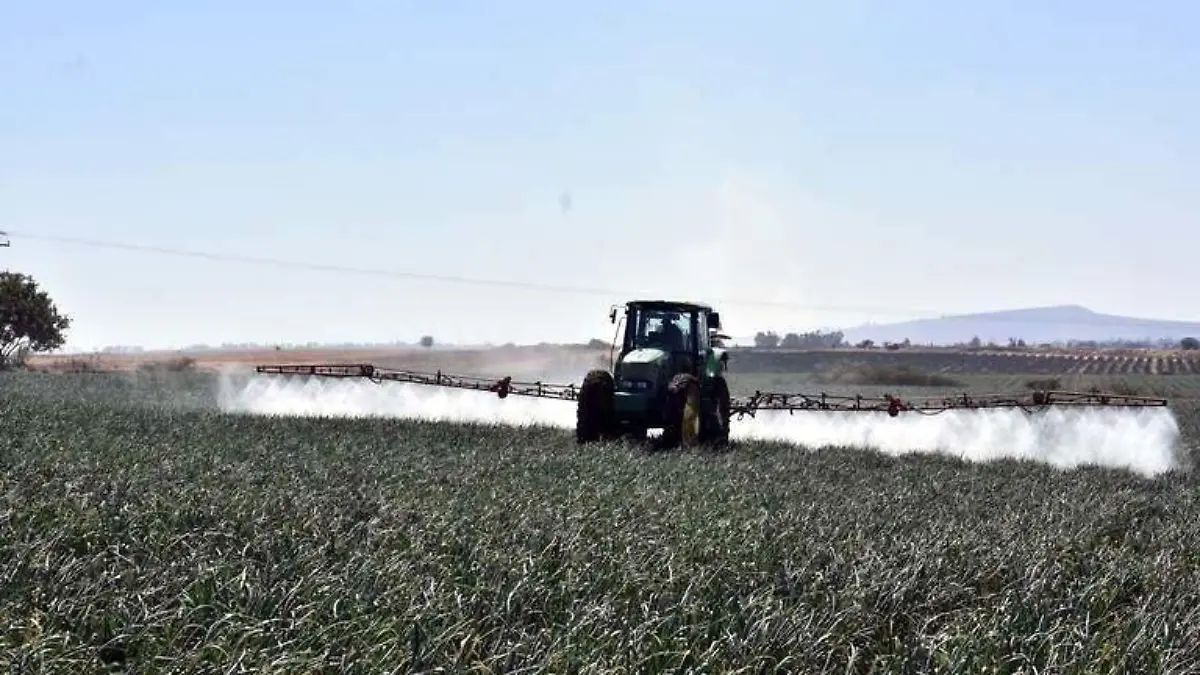 ROBOS - VICTOR CRUZ - SOL DE IRAPUATO (1)