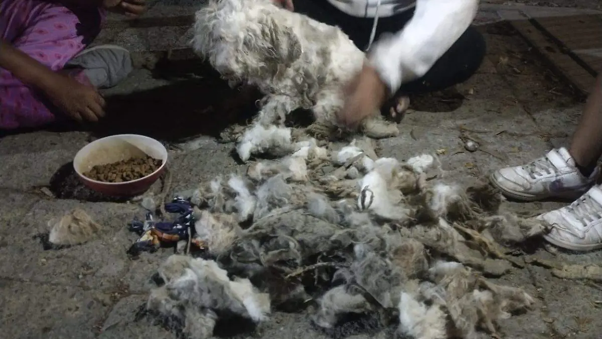 90c8abe6-230e-4b41-bc74-d3da148d7f5a