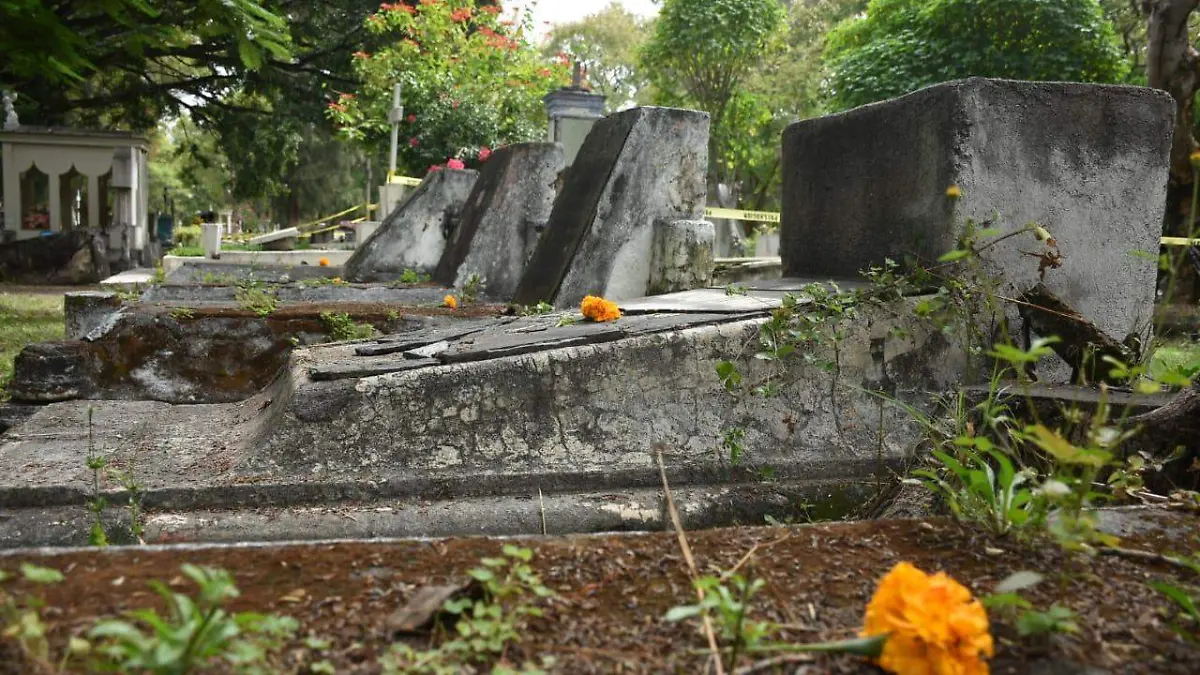 WhatsApp Image 2018-11-02 at 1.04.15 PM